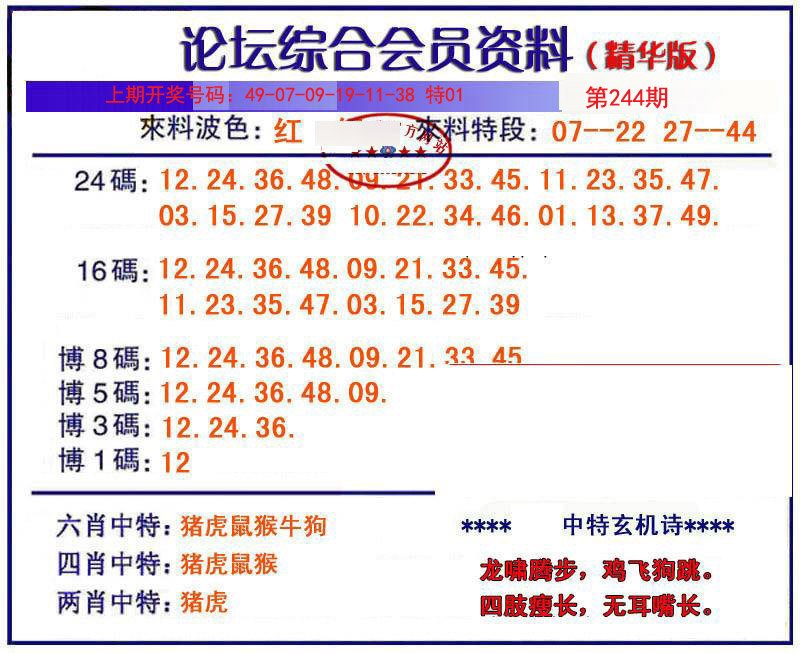 2024244期综合会员资料
