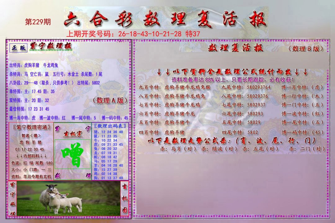 2024229期数理复活报