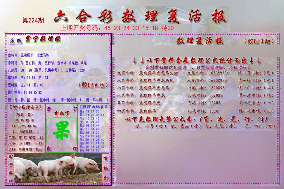 2024224期数理复活报