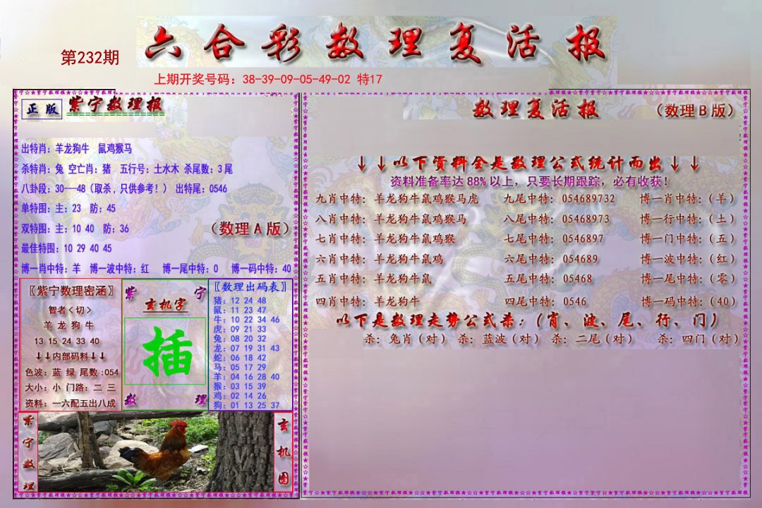 2024232期数理复活报