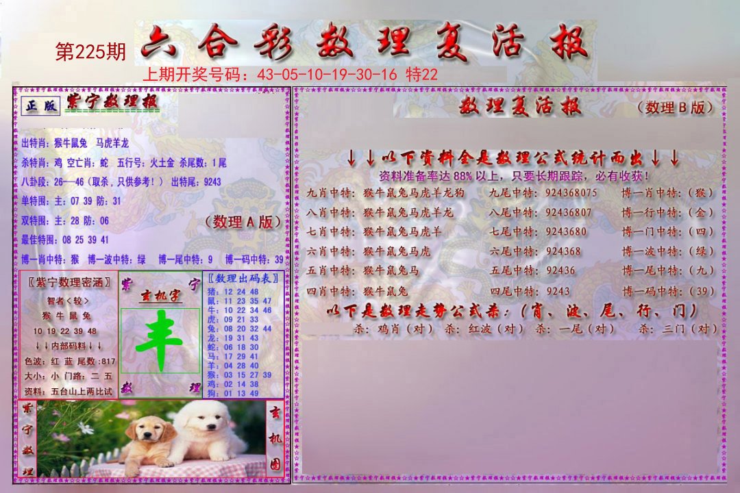 2024225期数理复活报