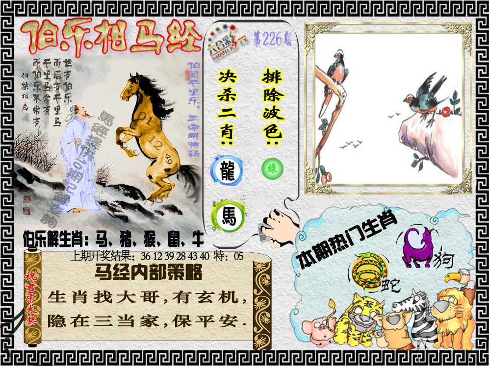 2024226期伯乐相马经
