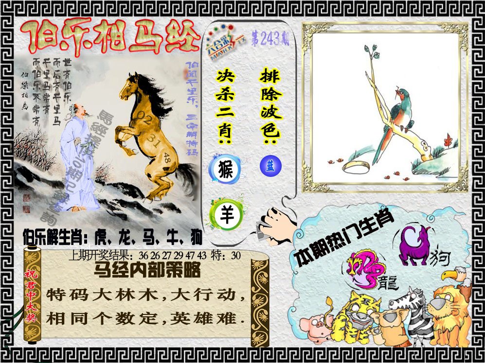 2024243期伯乐相马经