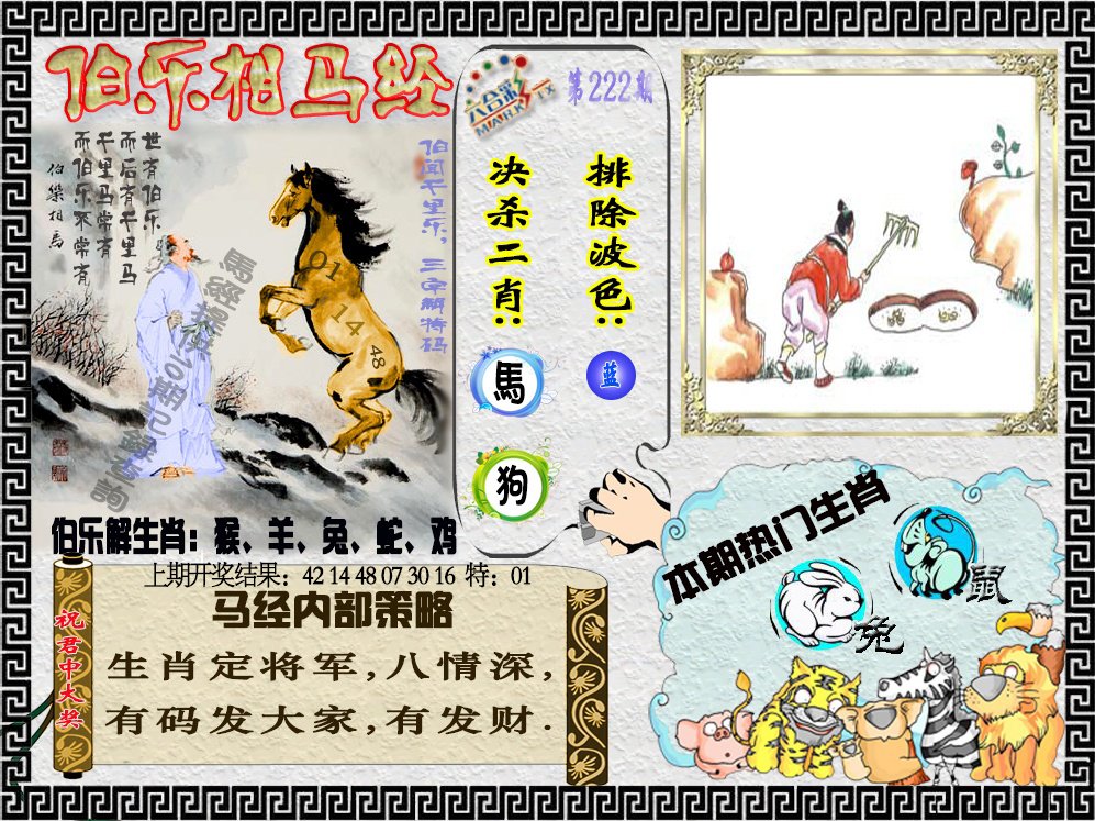 2024222期伯乐相马经