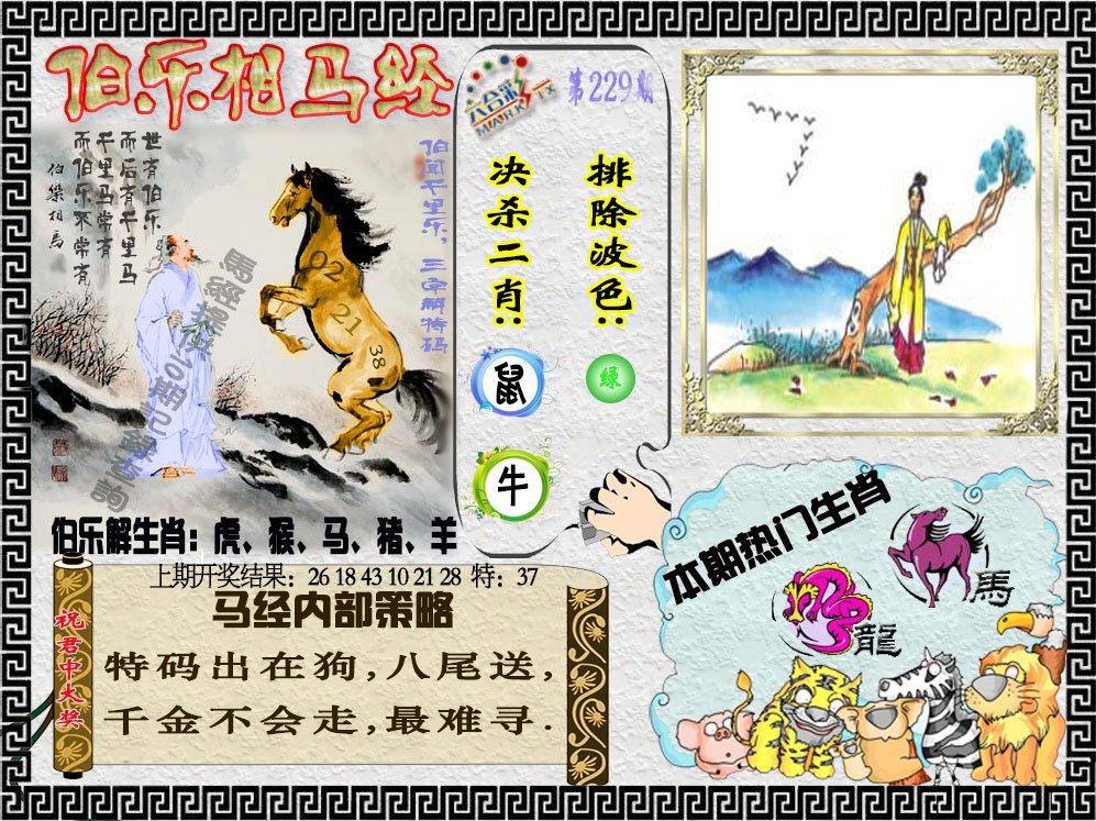 2024229期伯乐相马经