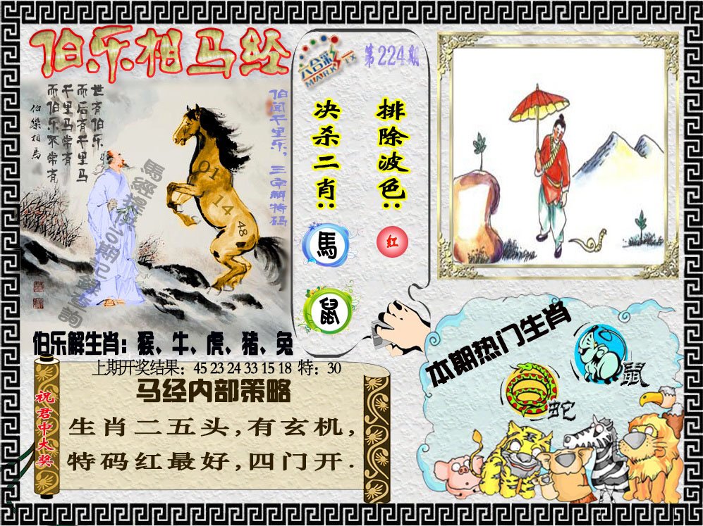 2024224期伯乐相马经