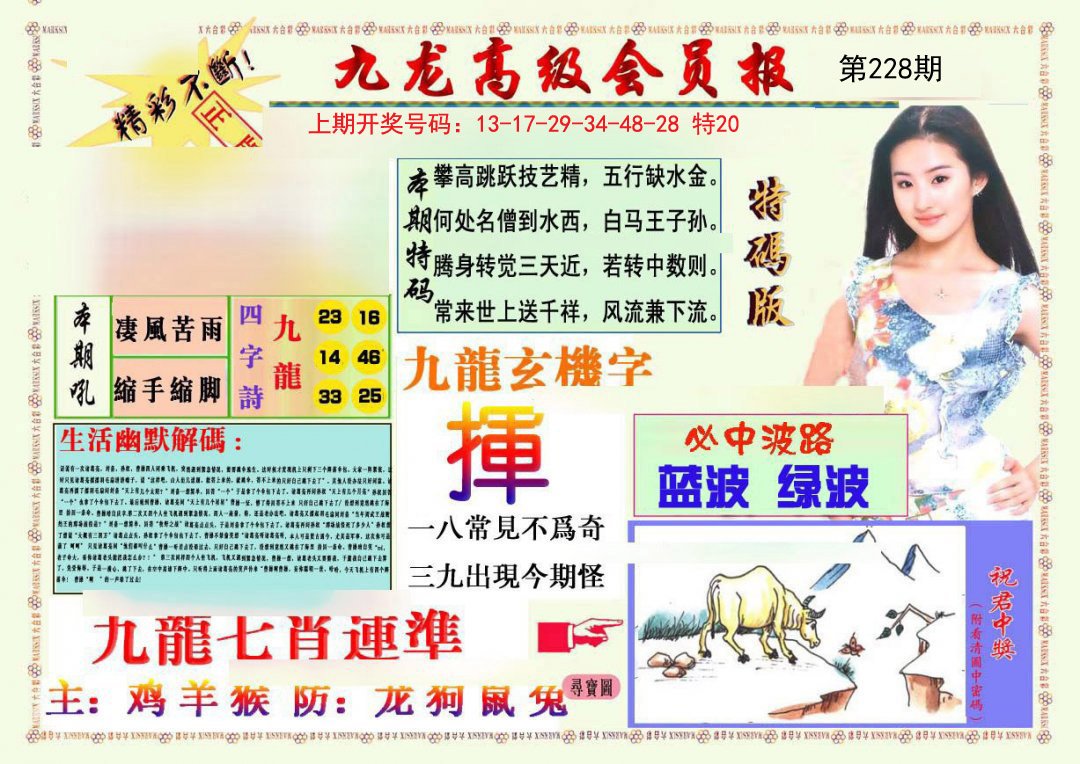 2024228期九龙高级会员报