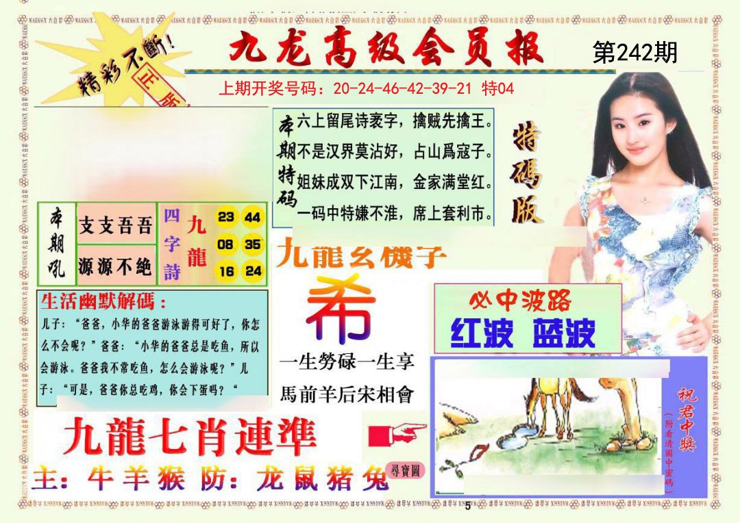 2024242期九龙高级会员报