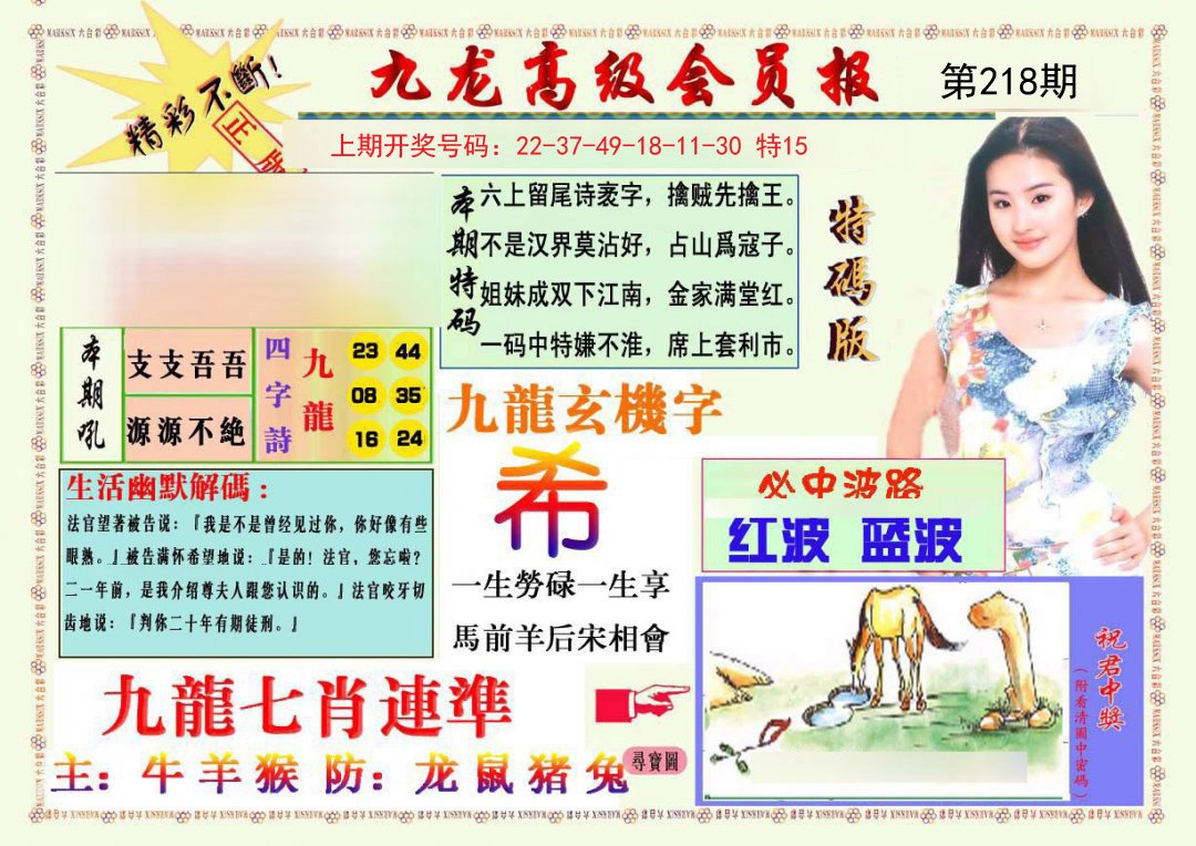 2024218期九龙高级会员报