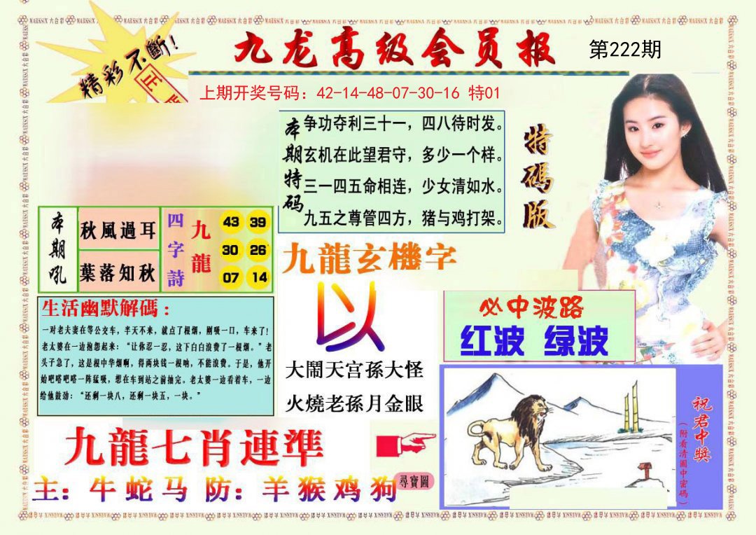 2024222期九龙高级会员报