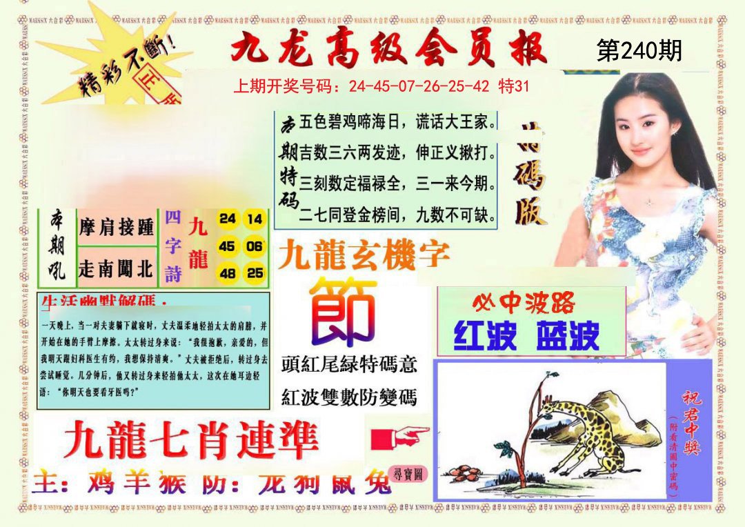2024240期九龙高级会员报