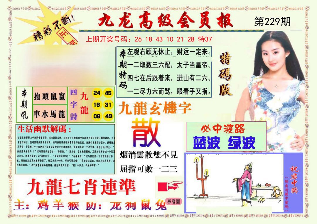 2024229期九龙高级会员报