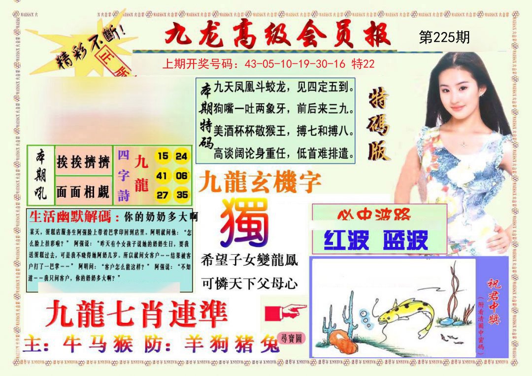 2024225期九龙高级会员报