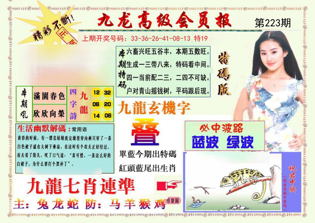 2024223期九龙高级会员报