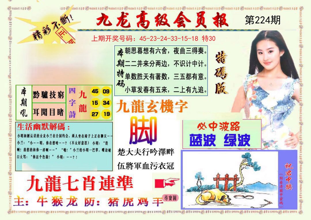 2024224期九龙高级会员报
