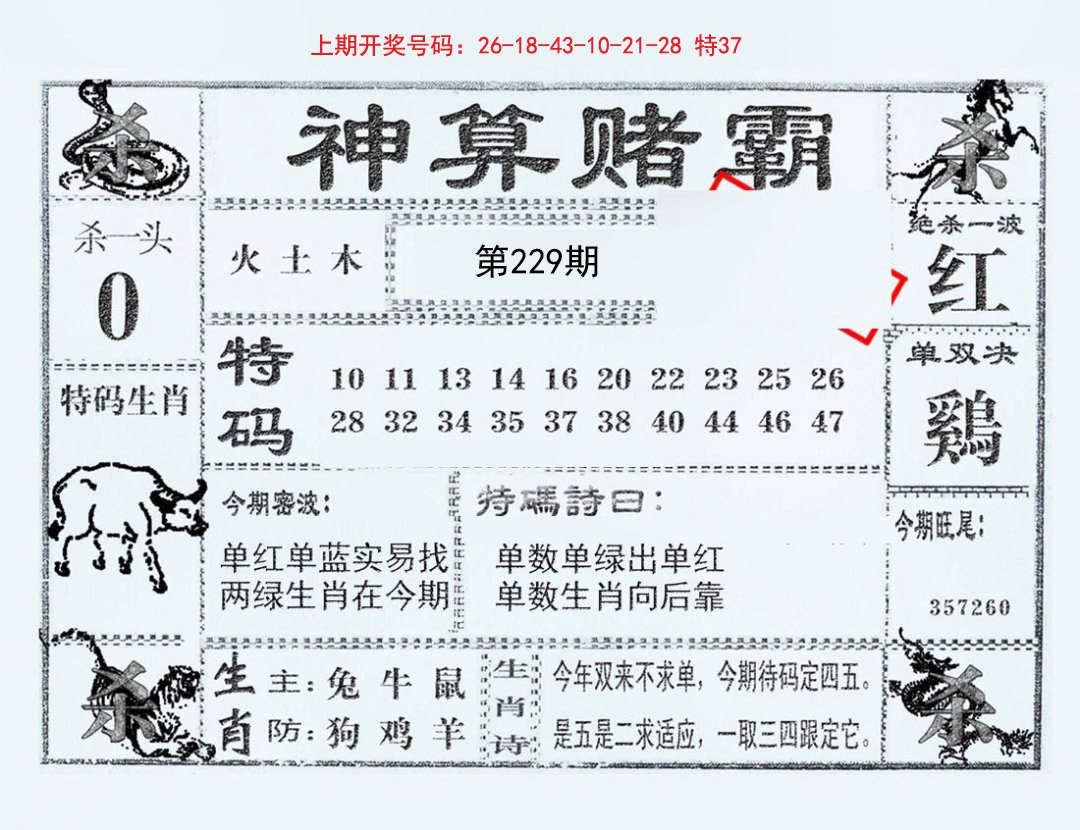 2024229期神算赌霸