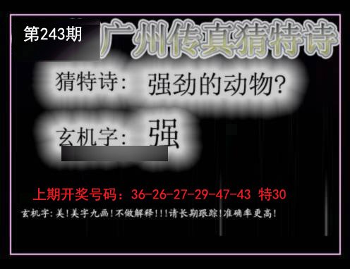 2024243期广州传真猜特诗