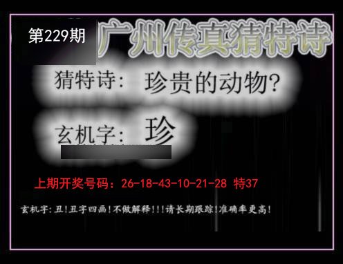 2024229期广州传真猜特诗