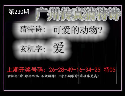 2024230期广州传真猜特诗