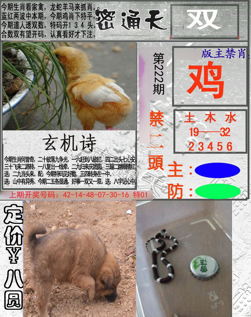 2024222期密通天