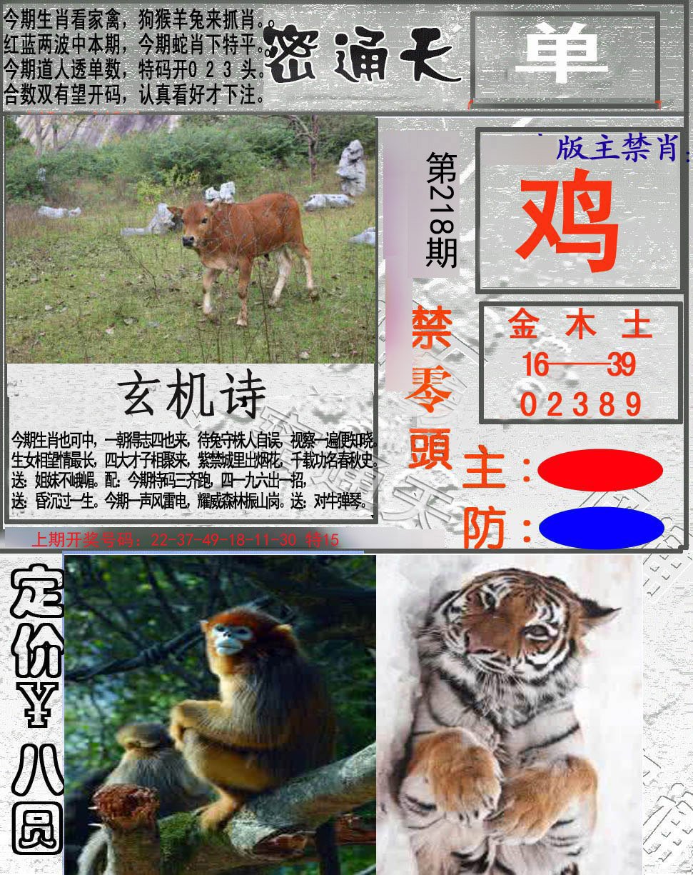 2024218期密通天