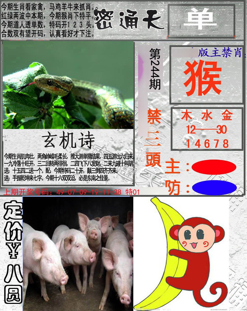 2024244期密通天