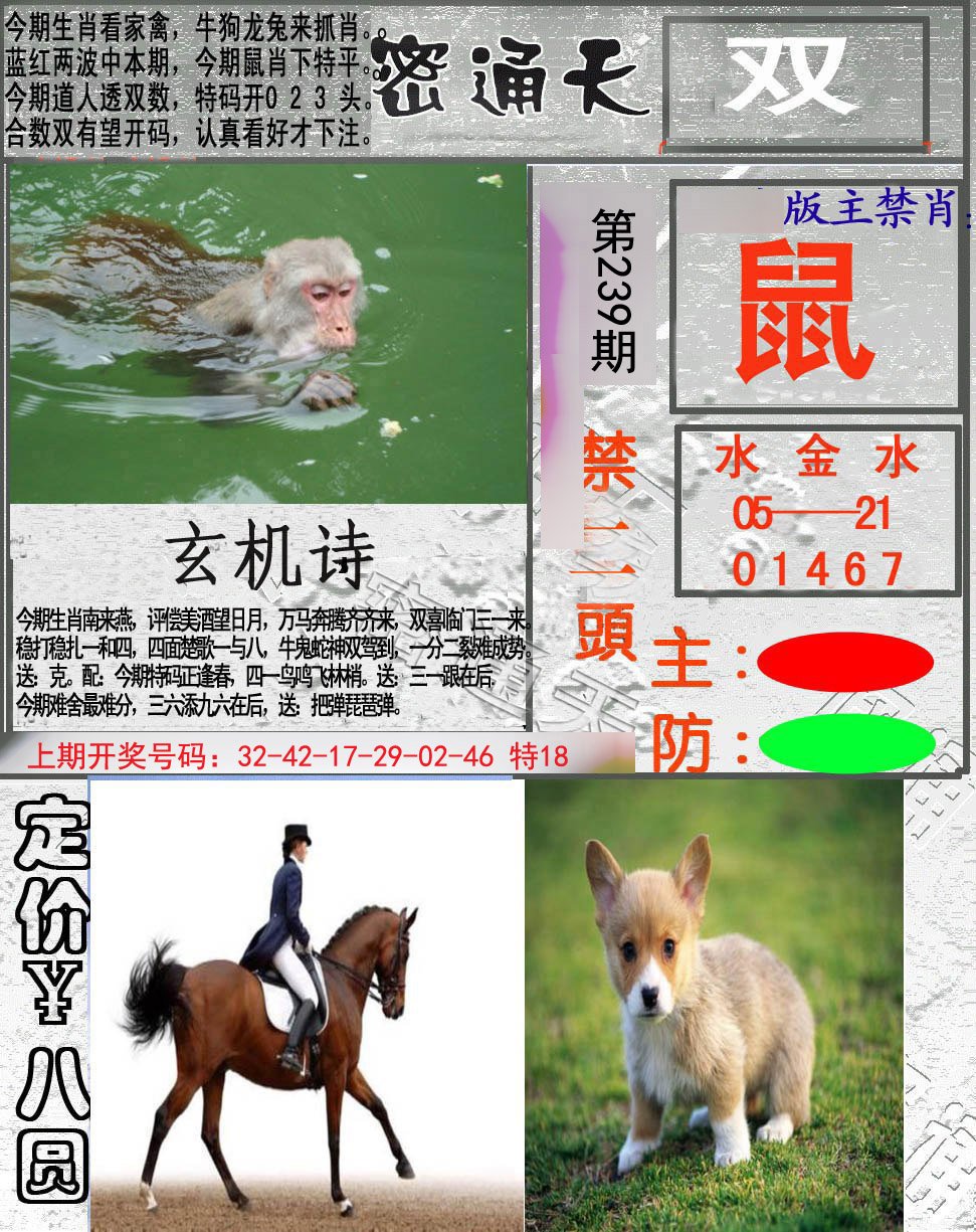 2024239期密通天