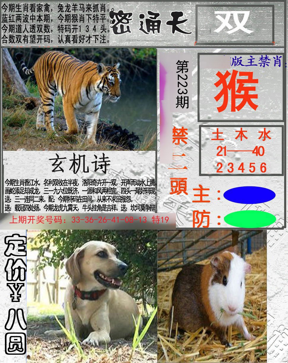 2024223期密通天