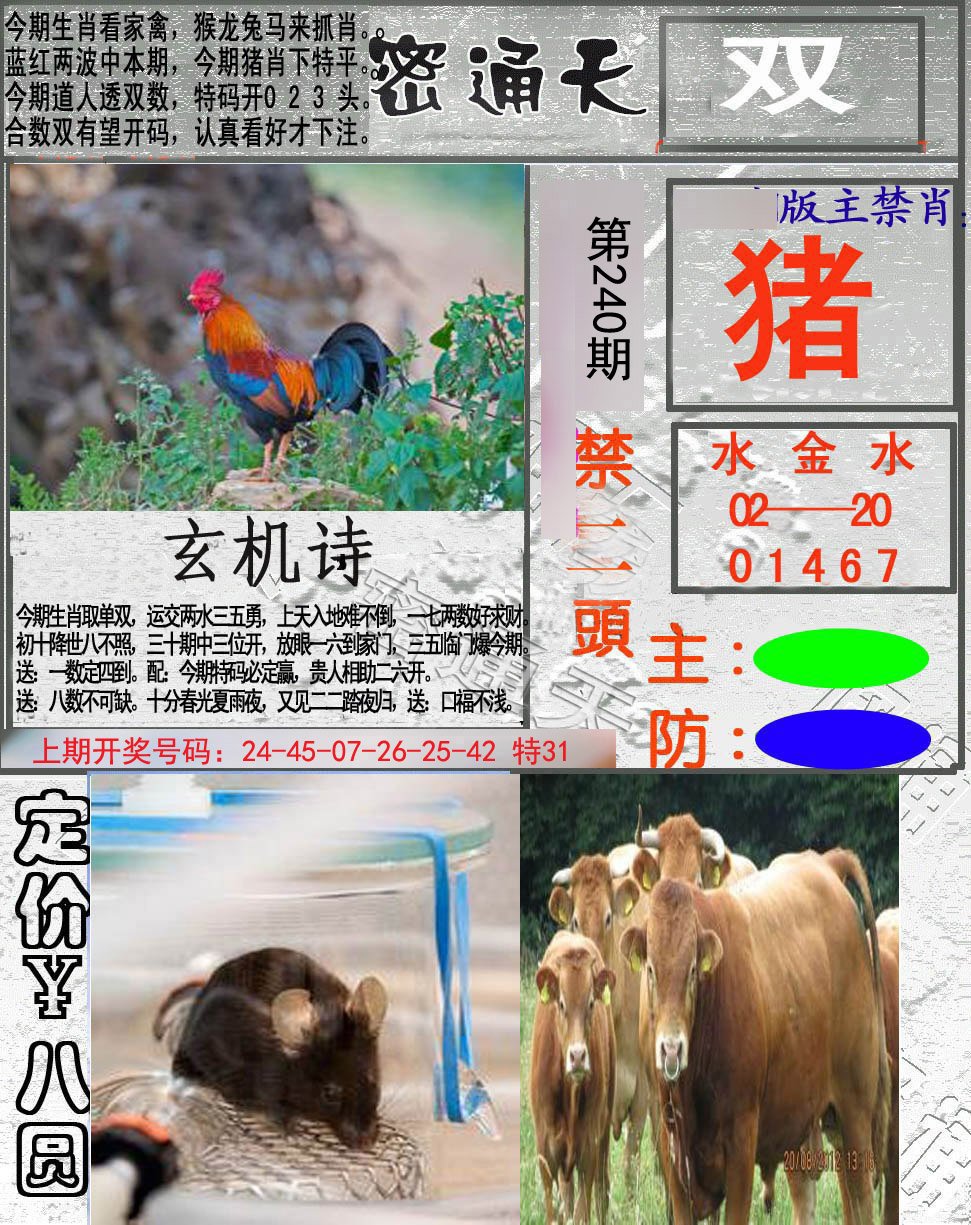 2024240期密通天