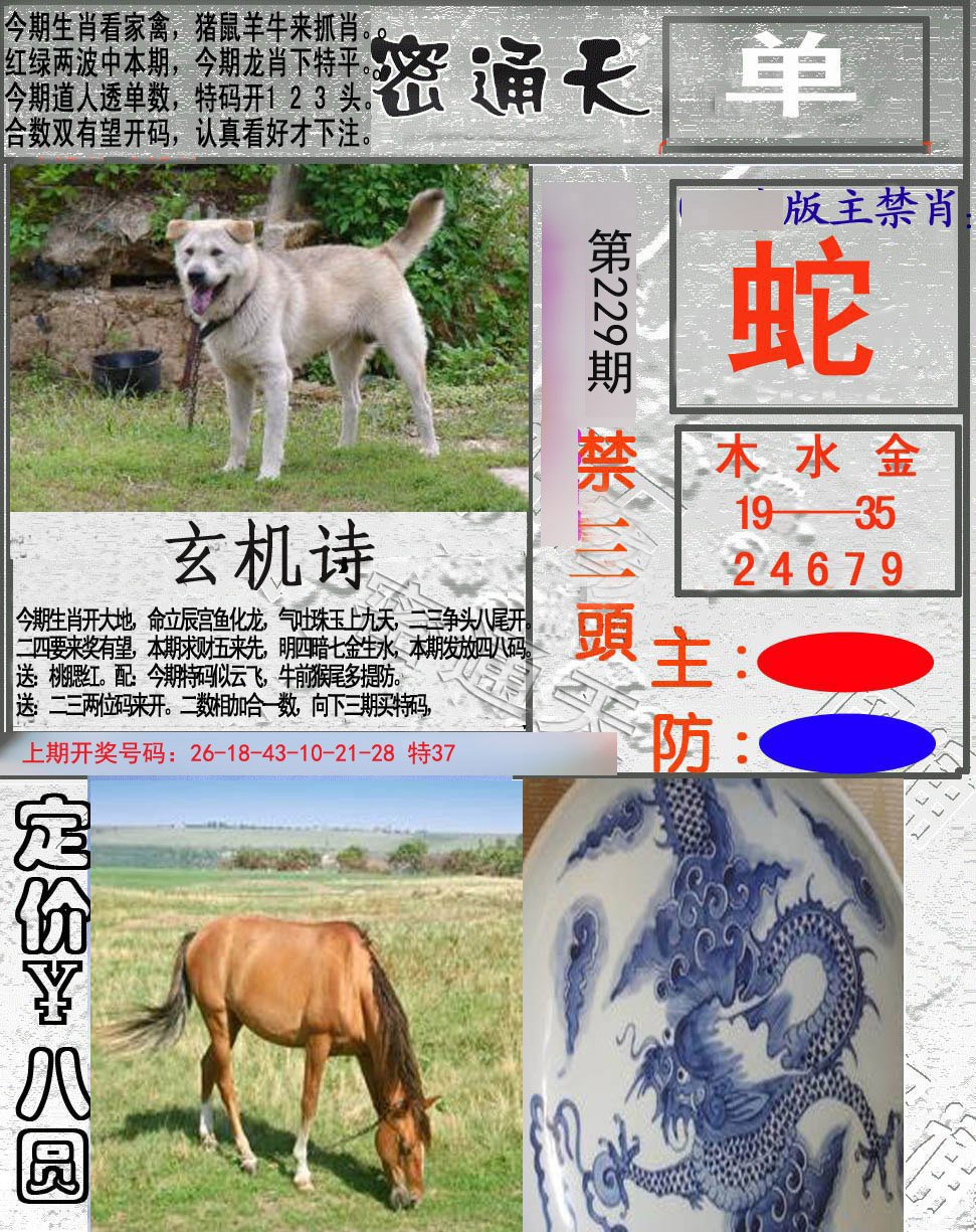 2024229期密通天