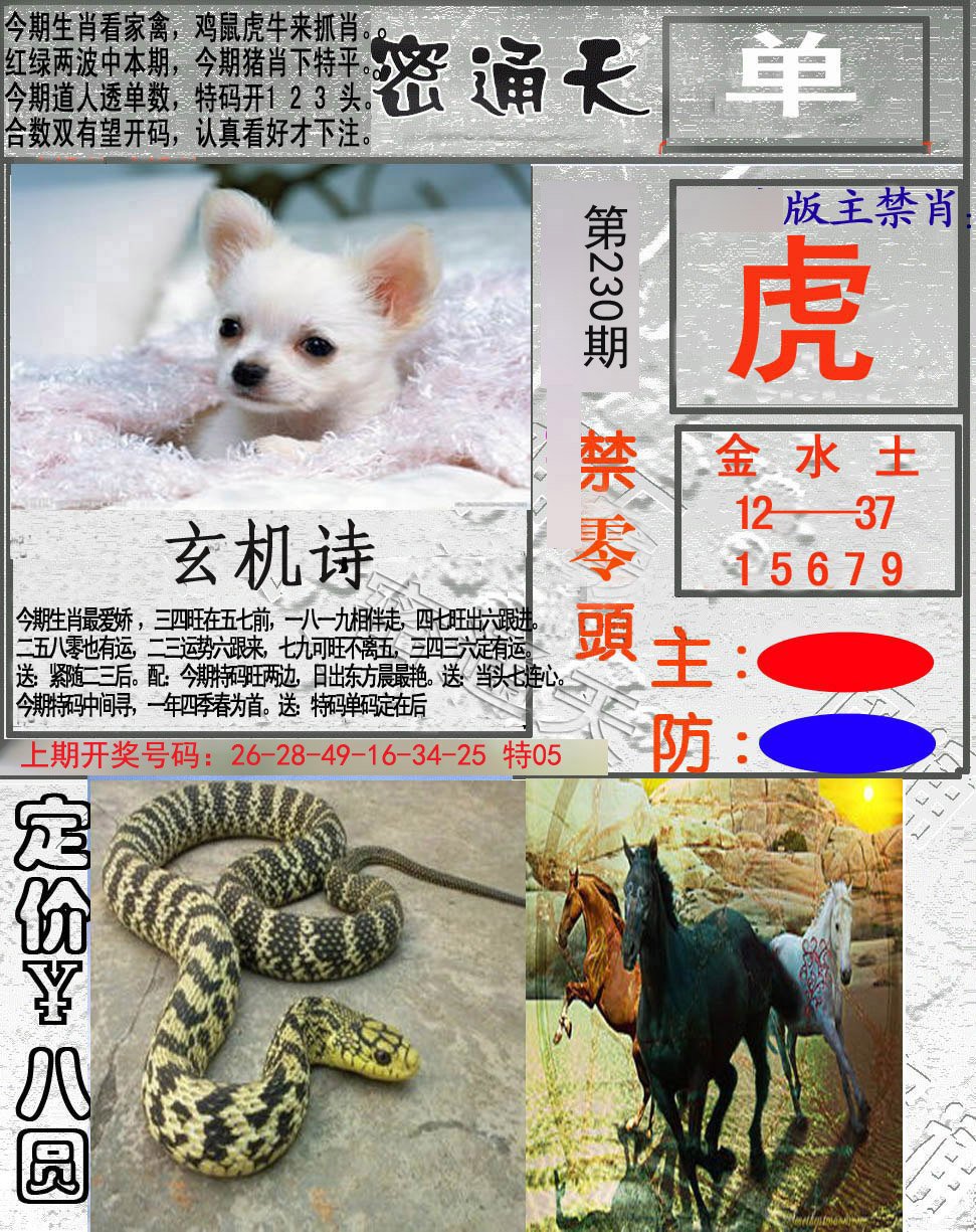 2024230期密通天
