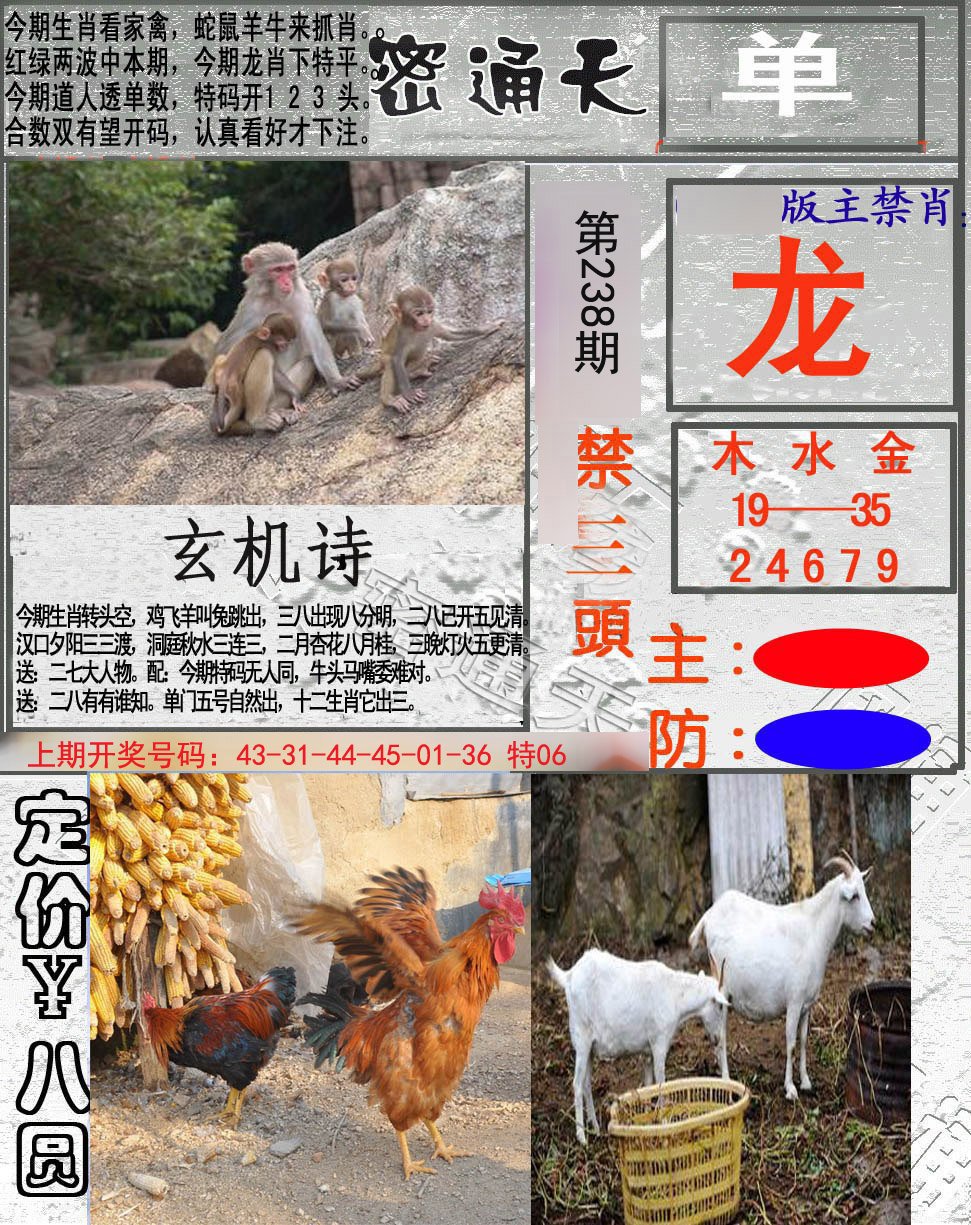 2024238期密通天