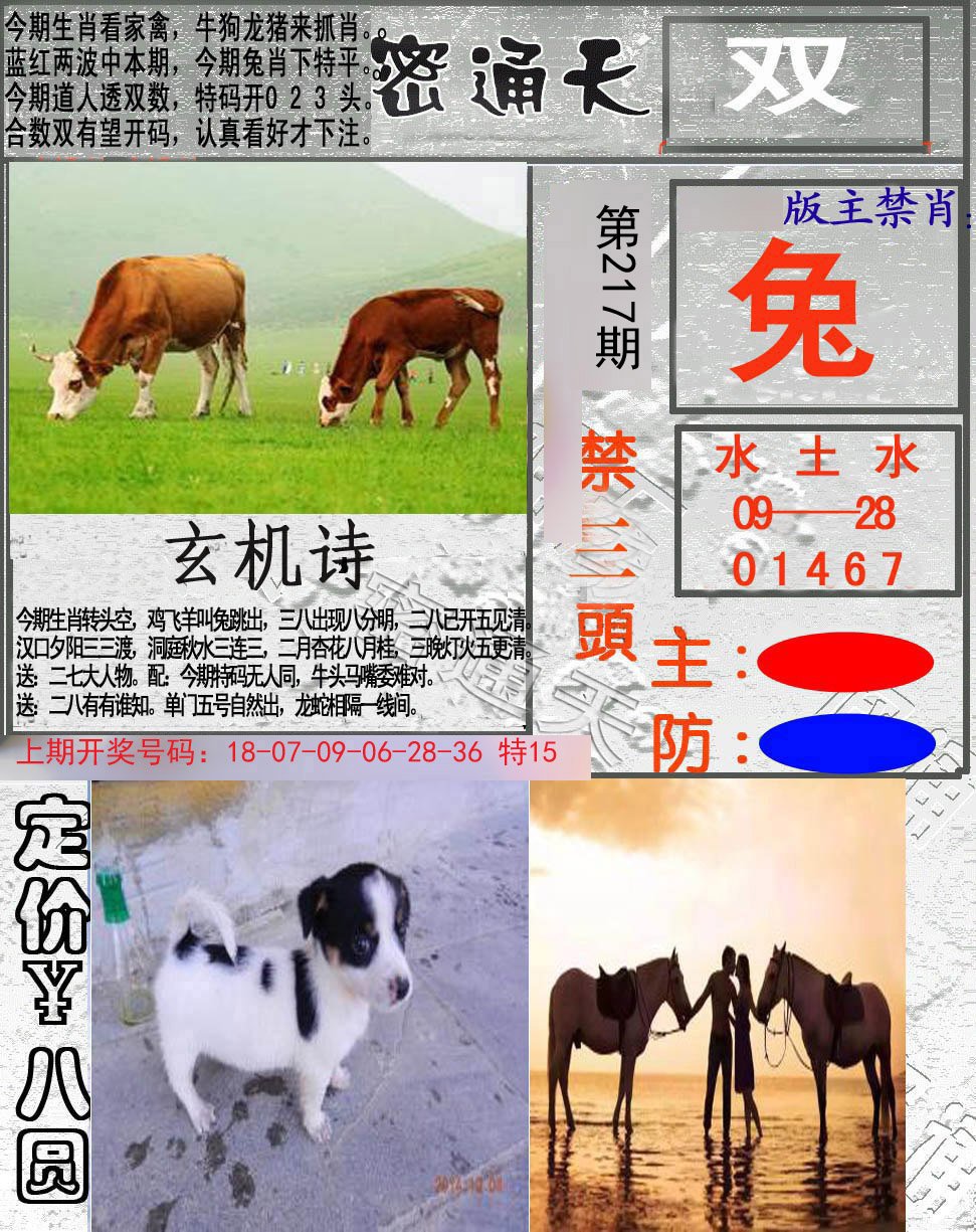 2024217期密通天