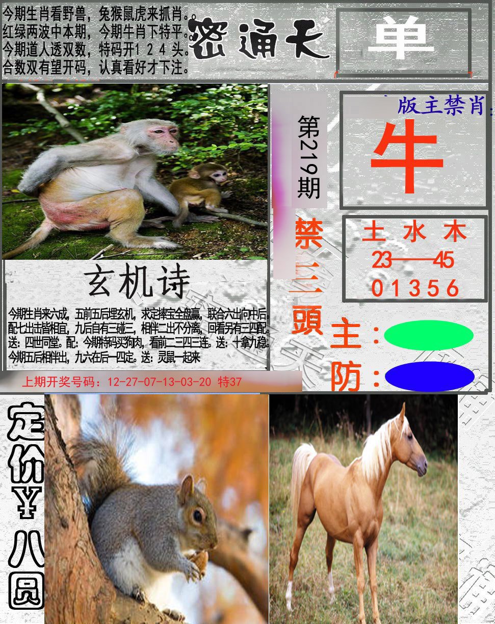2024219期密通天