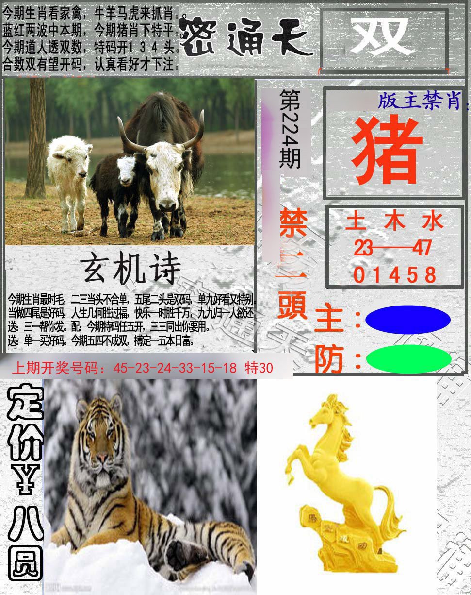 2024224期密通天