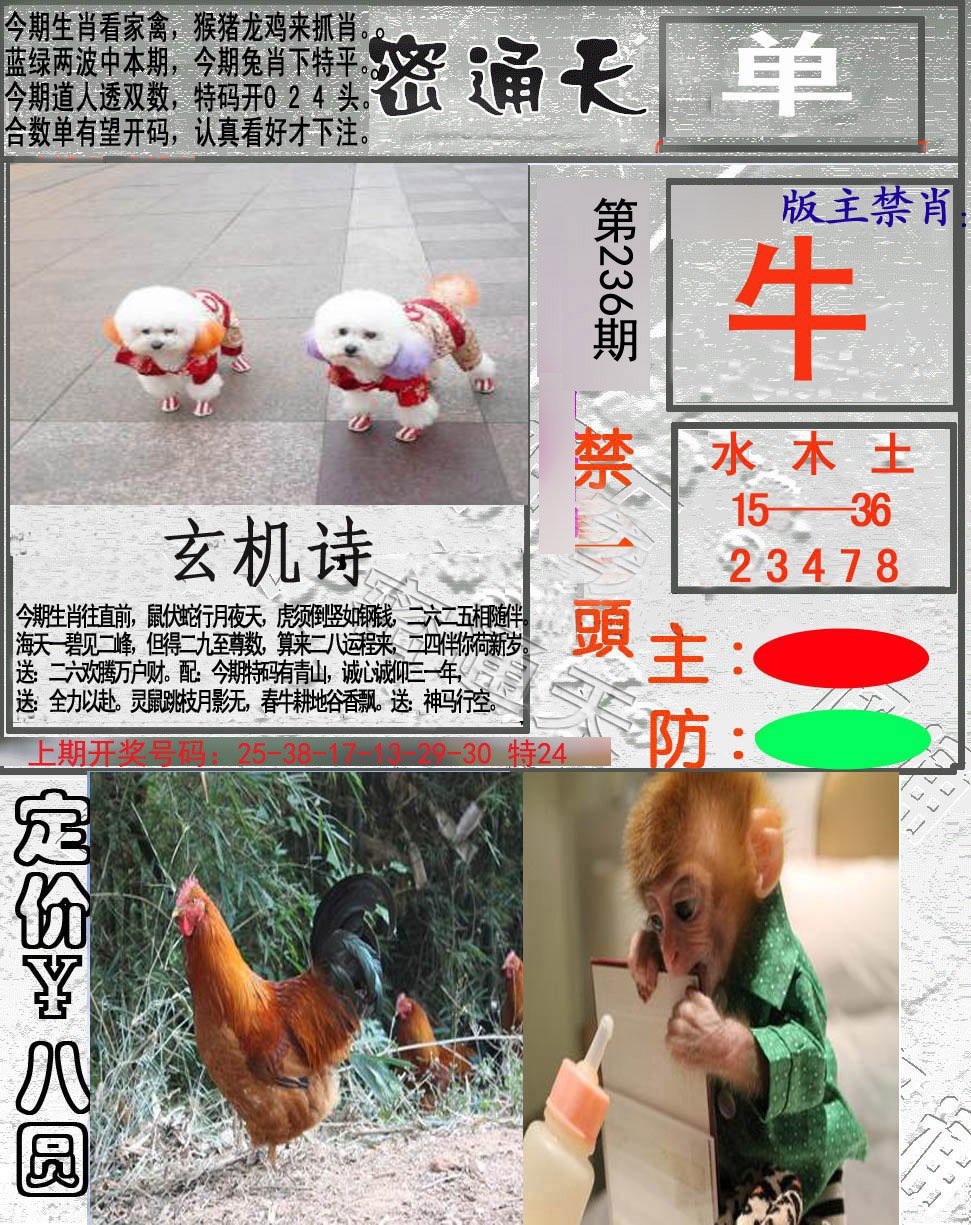 2024236期密通天