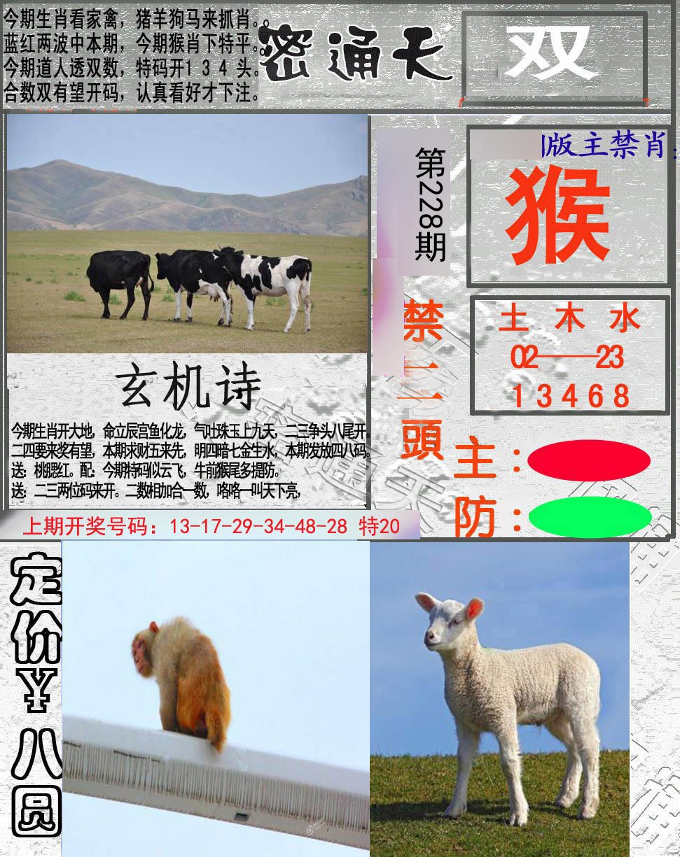 2024228期密通天