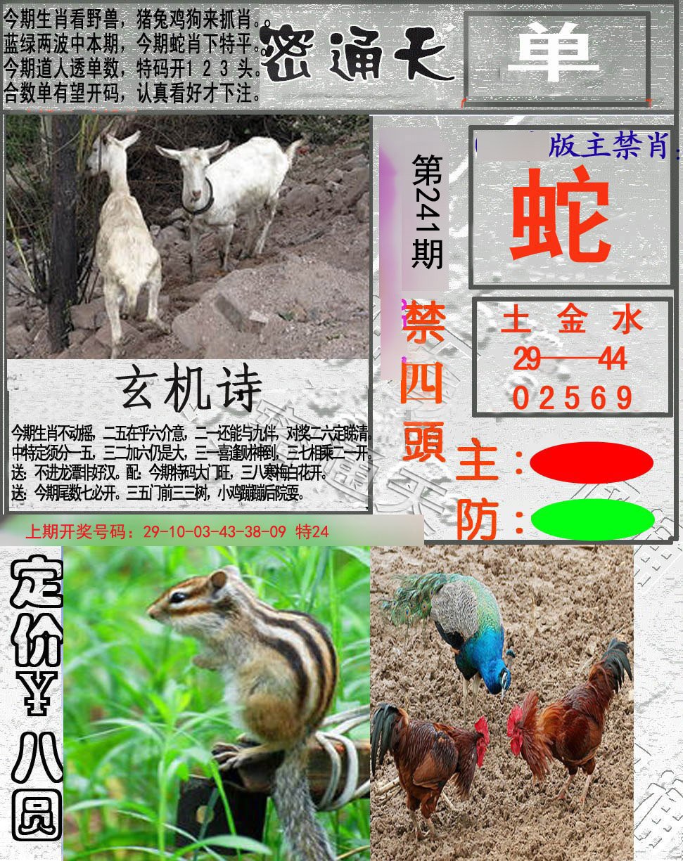 2024241期密通天