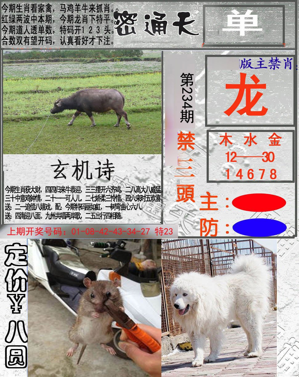 2024234期密通天