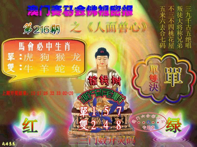 2024216期佛主密报-莲花双宝