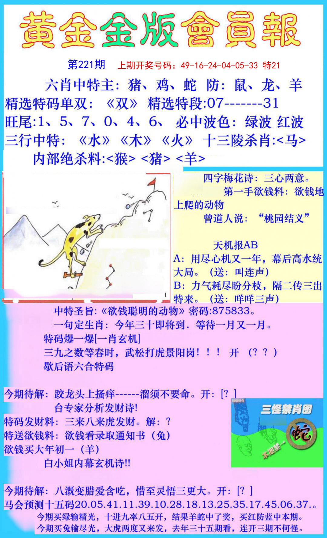 2024221期黄金金版会员报