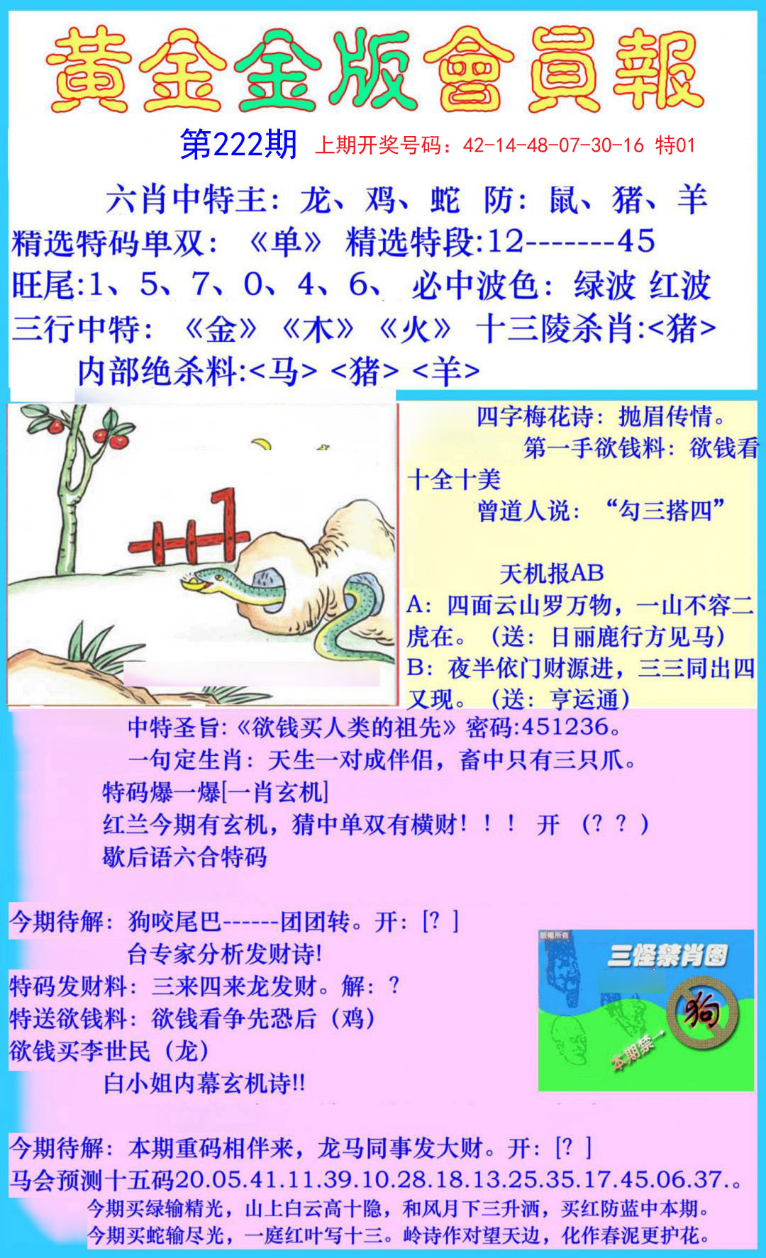 2024222期黄金金版会员报