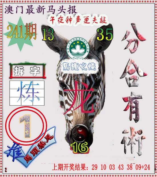 2024241期马头报