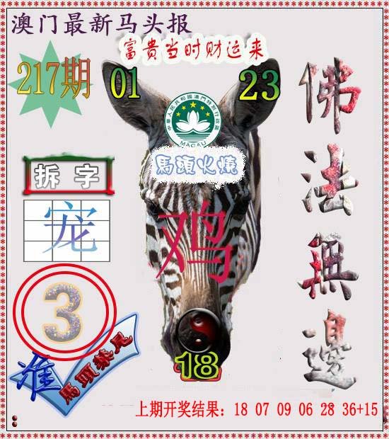 2024217期马头报