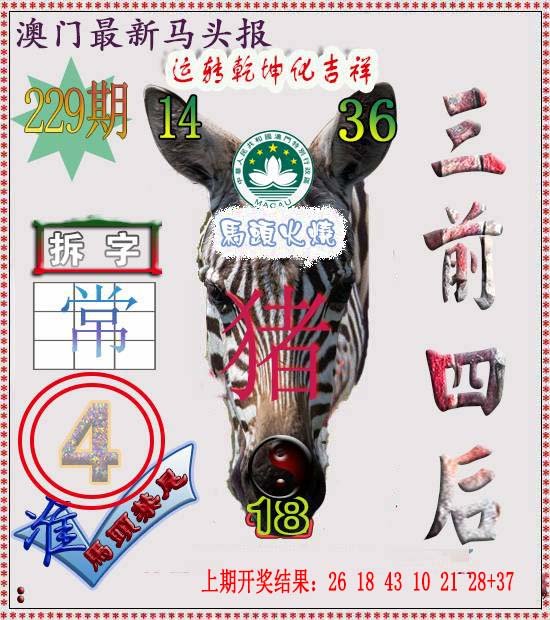 2024229期马头报
