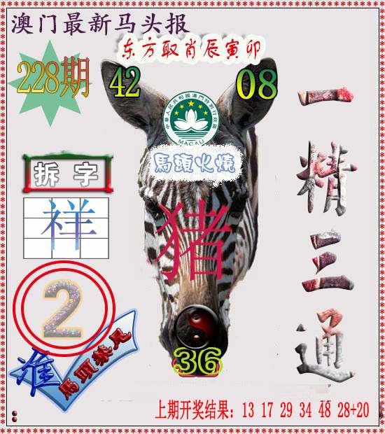 2024228期马头报