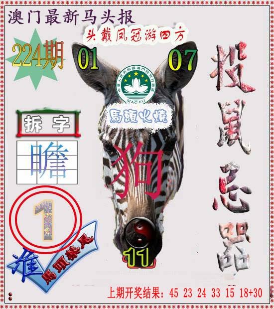 2024224期马头报