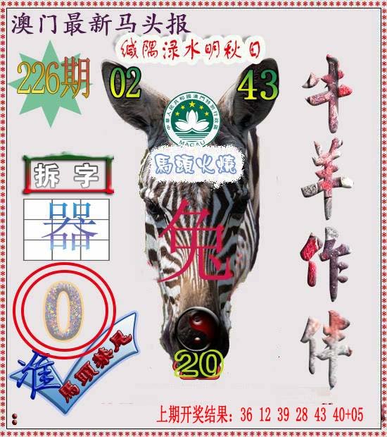 2024226期马头报