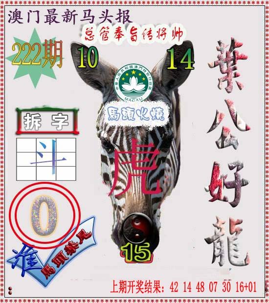 2024222期马头报