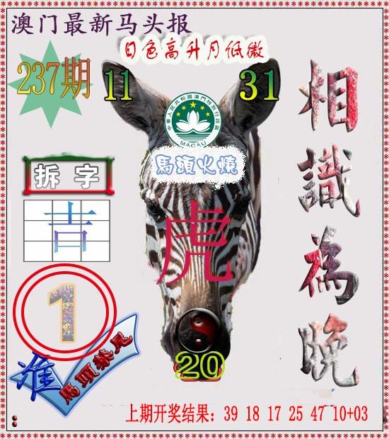 2024237期马头报